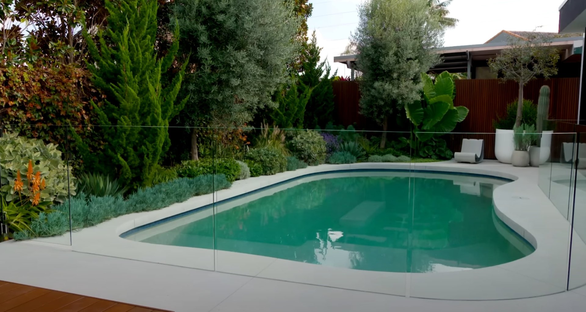 Modern backyard with swimming pool, glass safety fencing, and professional landscaping featuring diverse plants and clean hardscaping
