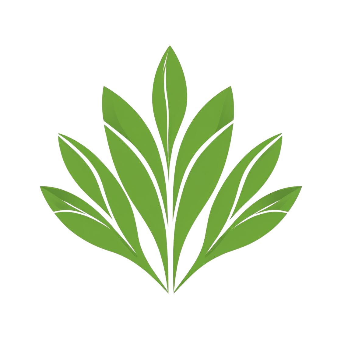 Citrus Heights Landscaping Logo