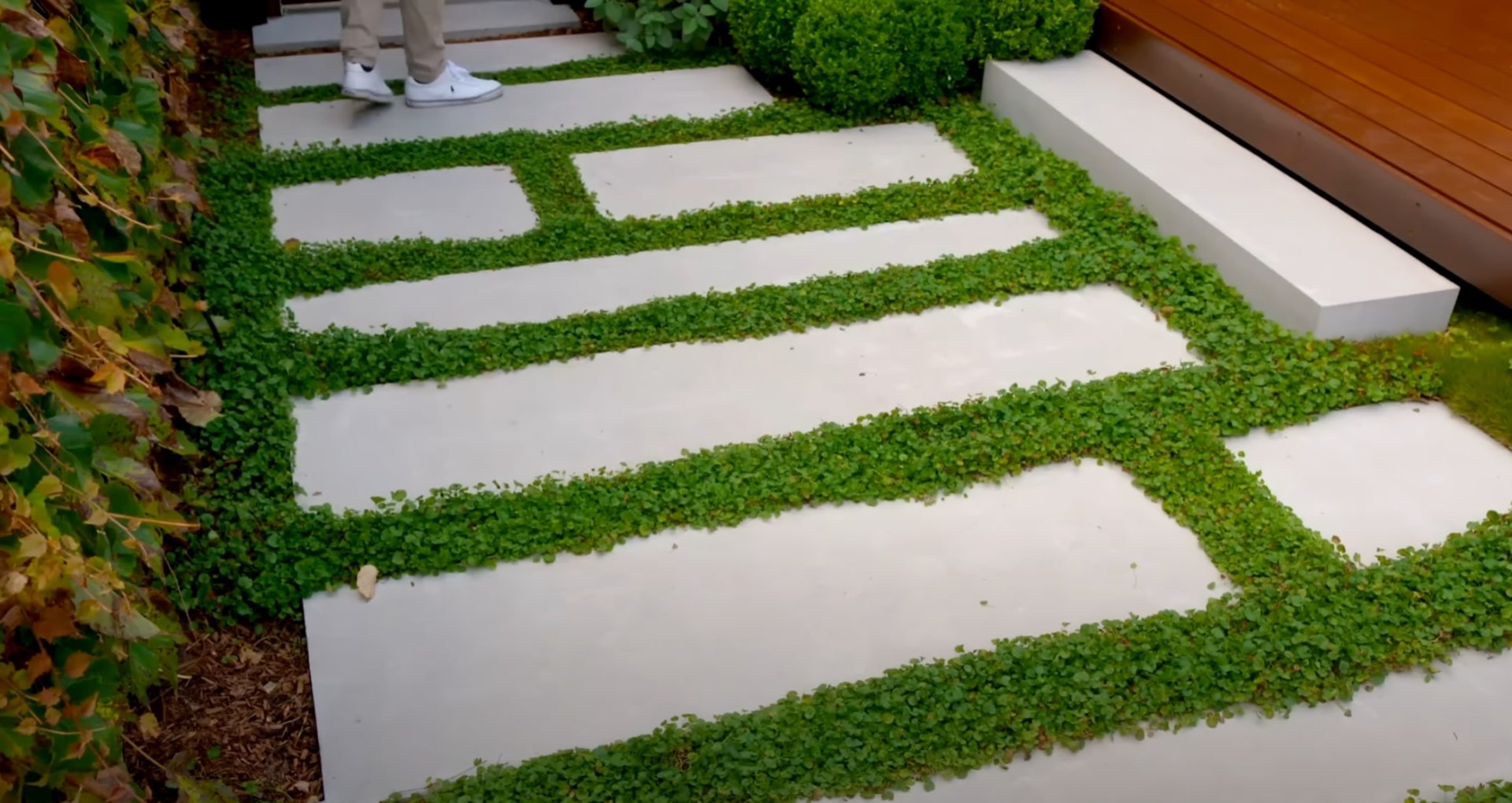 Contemporary concrete stepping stones with green ground cover creating geometric pathways in modern landscape design